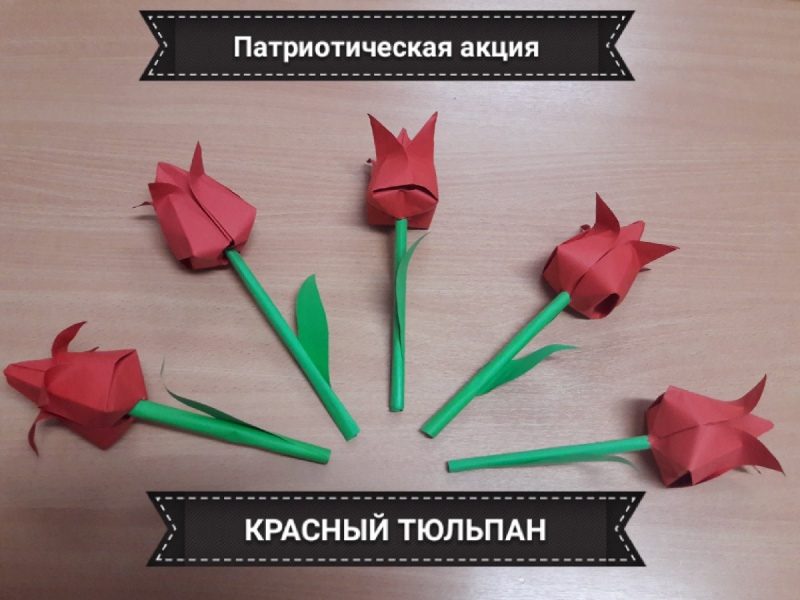 15 февраля стартует акция «Красный тюльпан».